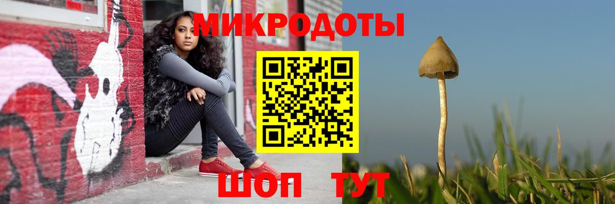 Галлюциногенные грибы MAGIC MUSHROOMS  Галлюциногенные грибы GOLDEN TEACHER  Лабинск  Вход с VPN 